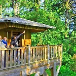 Confortable Avec Terrasse - 6 Pers. - Api-1-52-2115 * Альби